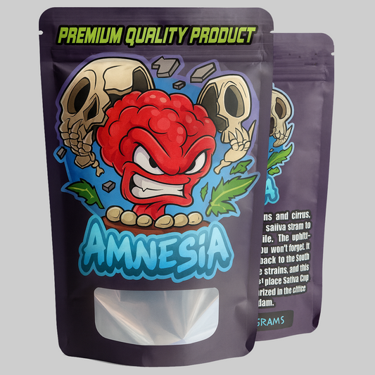 Amnesia Mylar Bags 3.5G